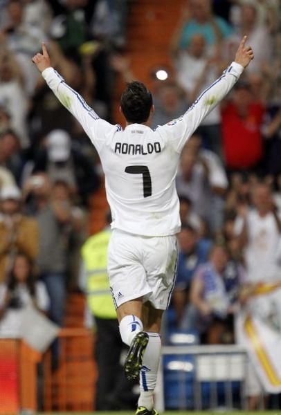 他与舍夫勒 他与舍夫勒