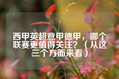 前言